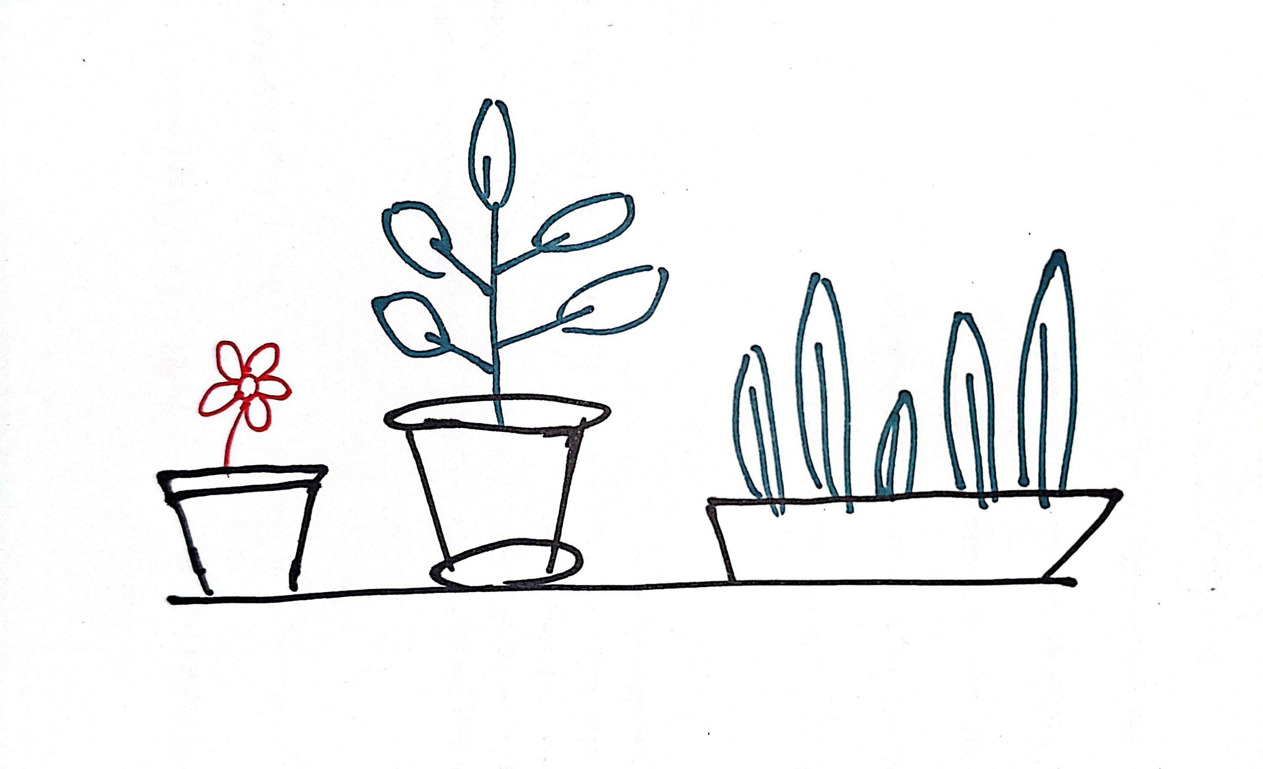 week-1285-effort-for-keeping-plants-alive